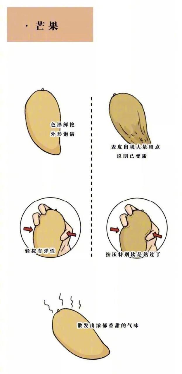 2024北京汽车牌照租赁哪家正规—先咨询再办理不花冤枉钱!